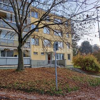 Prodej bytu 1+kk a garsoniéry 27 m² Praha, Litvínovská