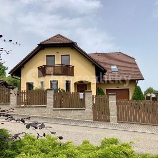 Prodej rodinného domu 282 m² Netřebice, 