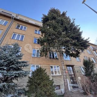 Prodej bytu 1+1 50 m² Praha, Průběžná