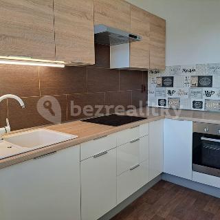 Prodej bytu 2+1 45 m² Ostrava, Ladislava Hosáka