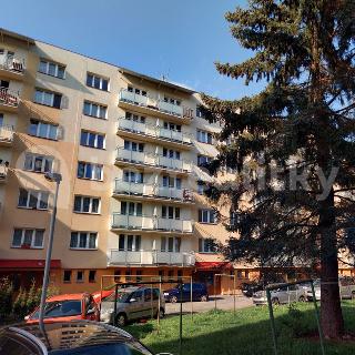 Prodej bytu 3+1 69 m² České Budějovice, Roudenská