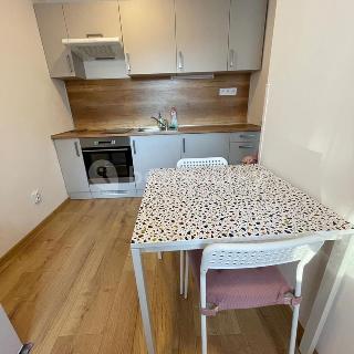 Prodej bytu 1+kk a garsoniéry 27 m² Ostrava, Křižíkova