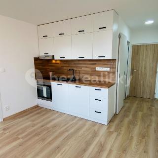 Prodej bytu 2+kk 36 m² Bohušovice nad Ohří, Terezínská