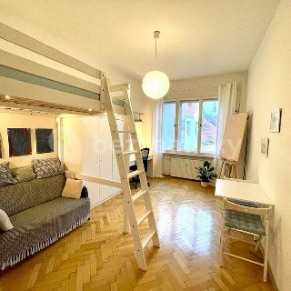 Prodej bytu 1+kk a garsoniéry 28 m² Praha, Veverkova