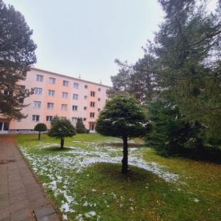Prodej bytu 3+1 69 m² Olomouc