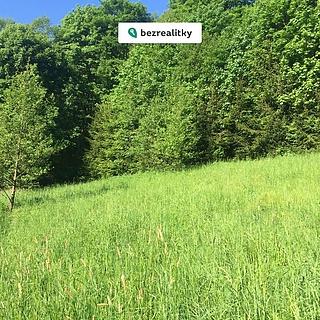 Prodej louky 3100 m&sup2; Poniklá