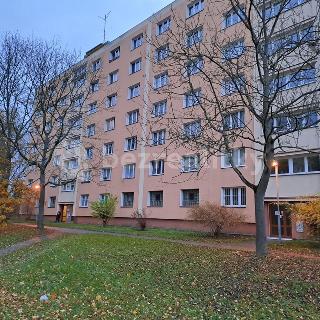 Prodej bytu 1+1 41 m² Plzeň, Družby