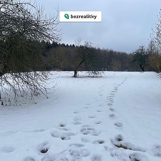 Prodej stavební parcely 5000 m&sup2; Sadov