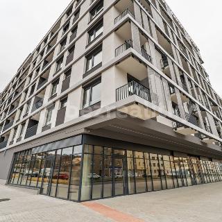 Prodej bytu 2+kk 57 m² Praha, Střídavá