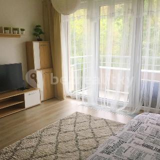 Prodej bytu 1+kk a garsoniéry 39 m² Praha, Mantovská