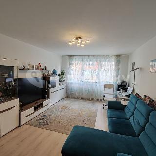 Prodej bytu 2+kk 58 m² Praha, Raichlova