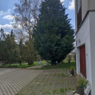 Prodej bytu 3+1 74 m² Chlumec, Skřivánčí