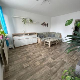 Prodej bytu 3+1 79 m² Liberec, Haškova