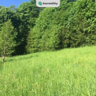 Prodej louky 3 100 m² Poniklá, 