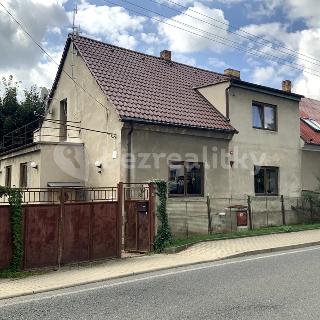 Prodej rodinného domu 375 m² Družec, 