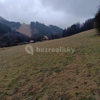 Prodej stavební parcely 3 393 m² Prlov, 