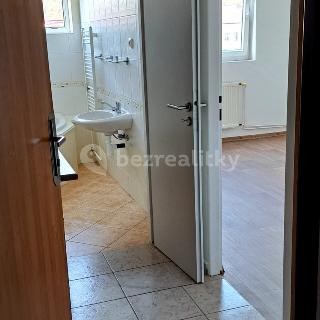 Prodej bytu 1+kk a garsoniéry 21 m² Litoměřice, Pokratická