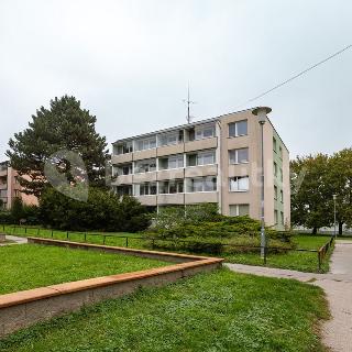 Prodej bytu 3+1 77 m² Brno, Záhřebská