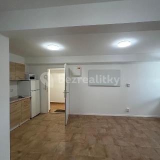 Prodej bytu 1+kk a garsoniéry 31 m² Praha, Spojovací