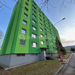 Prodej bytu 2+1 45 m² Šumperk, Pod Senovou