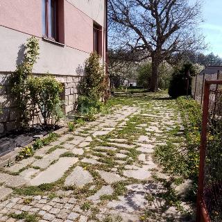 Prodej rodinného domu 220 m² Telč, Špitální