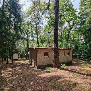 Prodej stavební parcely 1 875 m² Jevany, Lesní