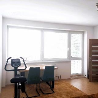 Prodej bytu 3+1 79 m² Bezděkov nad Metují, 