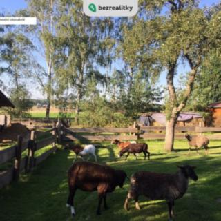 Prodej stavební parcely 1 807 m² Mezouň, 
