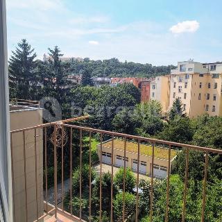 Prodej bytu 4+1 155 m² Brno, Jaselská