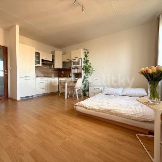 Prodej bytu 1+kk, garsoniery 32 m² Brno