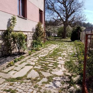 Prodej rodinného domu 220 m² Telč