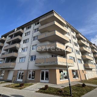 Prodej bytu 2+kk 61 m² Olomouc, Tovární