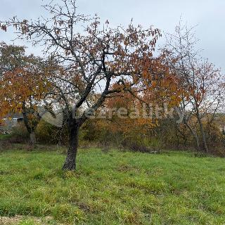 Prodej stavební parcely 920 m² Dřetovice, 