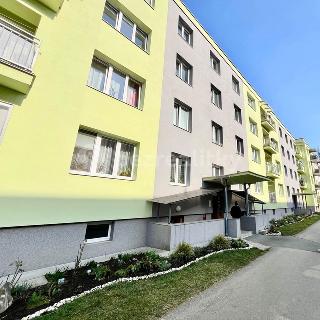 Prodej bytu 3+1 65 m² Pardubice, Družstevní