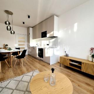 Prodej bytu 3+kk 65 m² Pardubice, Jana Zajíce