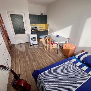 Prodej bytu 1+kk a garsoniéry 23 m² Brno, Halasovo náměstí