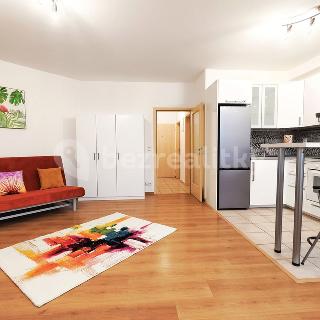 Prodej bytu 1+kk a garsoniéry 36 m² Praha, U Kamýku