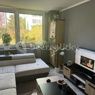 Prodej bytu 2+1 49 m² Praha, Písečná