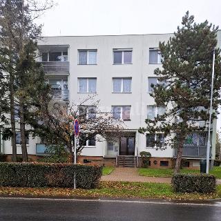 Prodej bytu 1+1 37 m² Žatec, Pekárenská