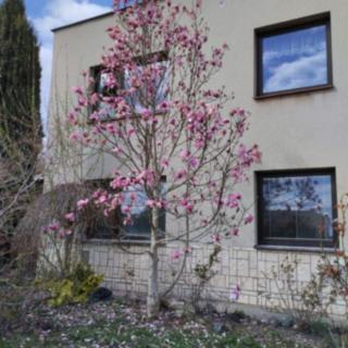 Prodej rodinného domu 257 m² Kosmonosy