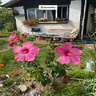 Prodej chaty 16 m&sup2; Praha