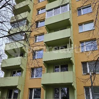 Prodej bytu 2+1 54 m² Znojmo, Palackého