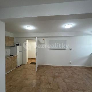 Prodej bytu 1+kk a garsoniéry 31 m² Praha, Spojovací