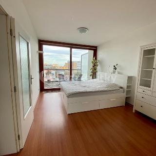 Prodej bytu 1+kk a garsoniéry 42 m² Praha, K lučinám