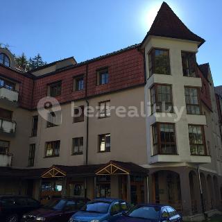 Prodej bytu 1+1 39 m² Jáchymov, K Lanovce