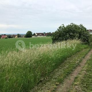 Prodej zemědělské půdy 14 800 m² Holubice, Na Vsi