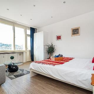 Pronájem bytu 1+kk a garsoniéry 30 m² Praha, Biskupský dvůr