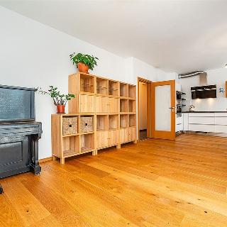 Pronájem bytu 3+kk 89 m² Praha, Hálův statek