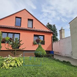 Pronájem rodinného domu 74 m² Nelahozeves, Školní