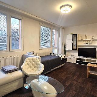 Pronájem bytu 1+kk a garsoniéry 34 m² Praha, Havránkova